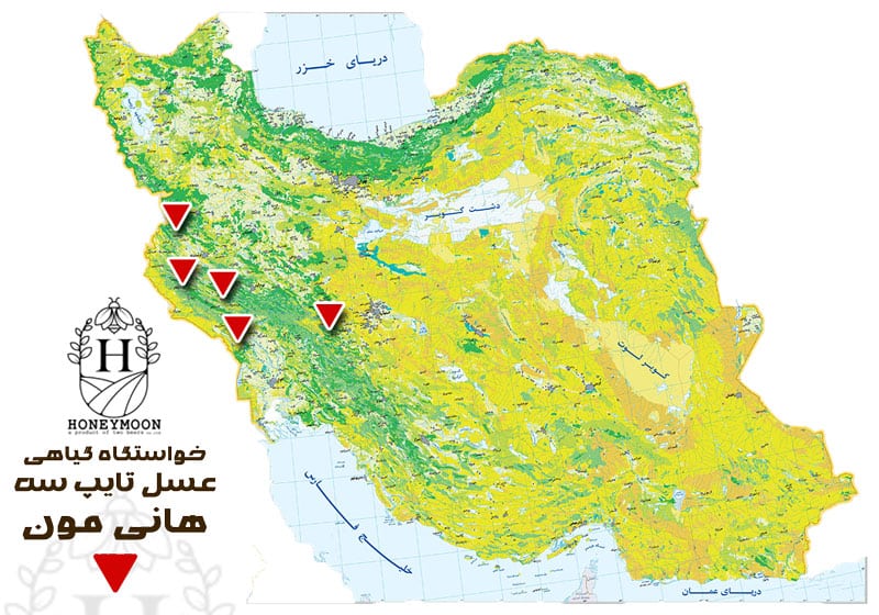 عسل تایپ 3 هانی مون