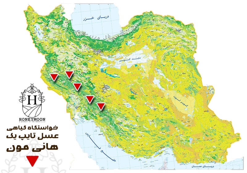 عسل تایپ یک هانی مون